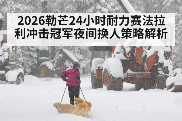 2026勒芒24小时耐力赛法拉利冲击冠军夜间换人策略解析